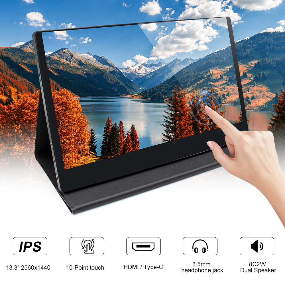 10.1-inch-HDMI-IPS-Screen